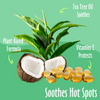 earthbath Hot Spot and Itch Relief Spritz - 8 oz