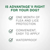Elanco Advantage II Flea Treatment for X-Large Dog Breeds (Over 25 kg)