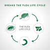 Elanco Advantage II Flea Treatment for X-Large Dog Breeds (Over 25 kg)