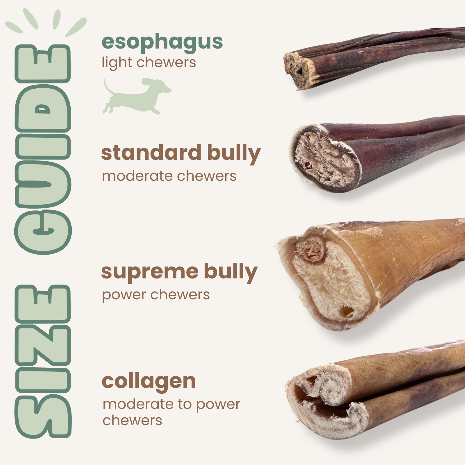 Purely Paws Esophagus Sticks