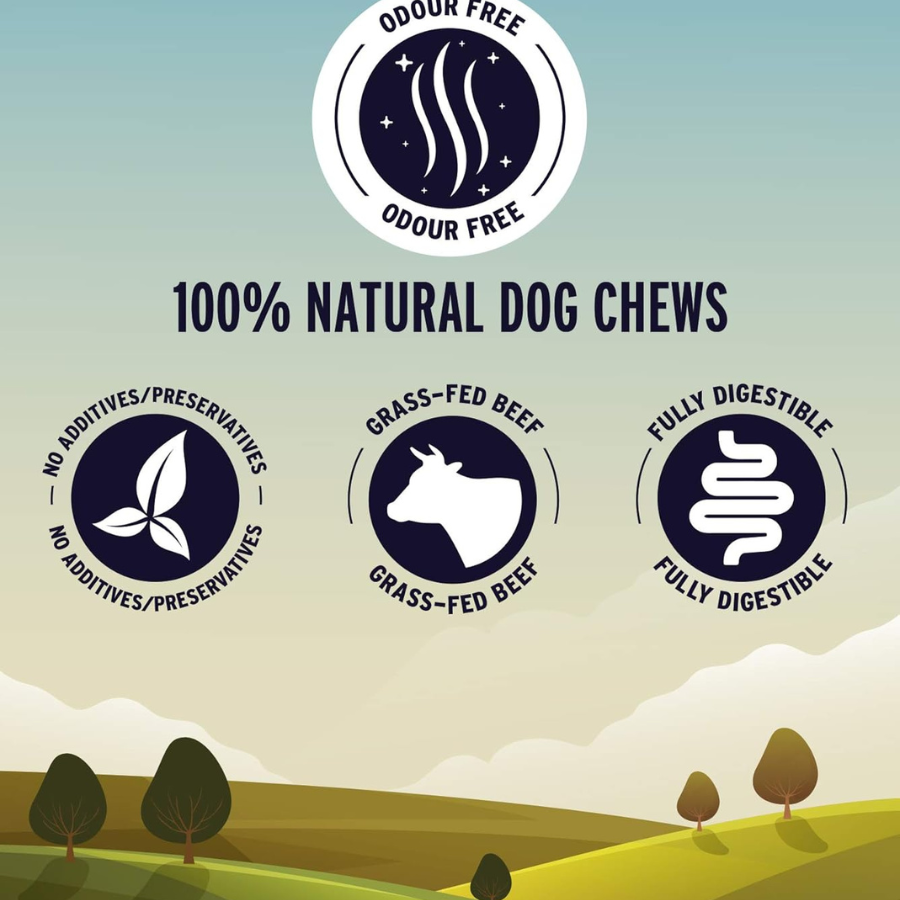 Great Jack's Dog Canadian Bully Sticks 5" to 7" - 6 Pack