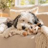 Growl Cuddlerz Goat Plush Toy - Small