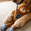 Growl Jungle Tugz Lion