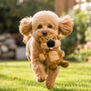 Growl Belly Boomerz Beaver