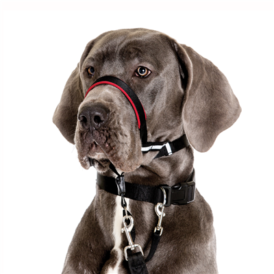 Halti OptiFit Headcollar Large