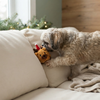Growl Holiday ﻿Stubbies Reindeer