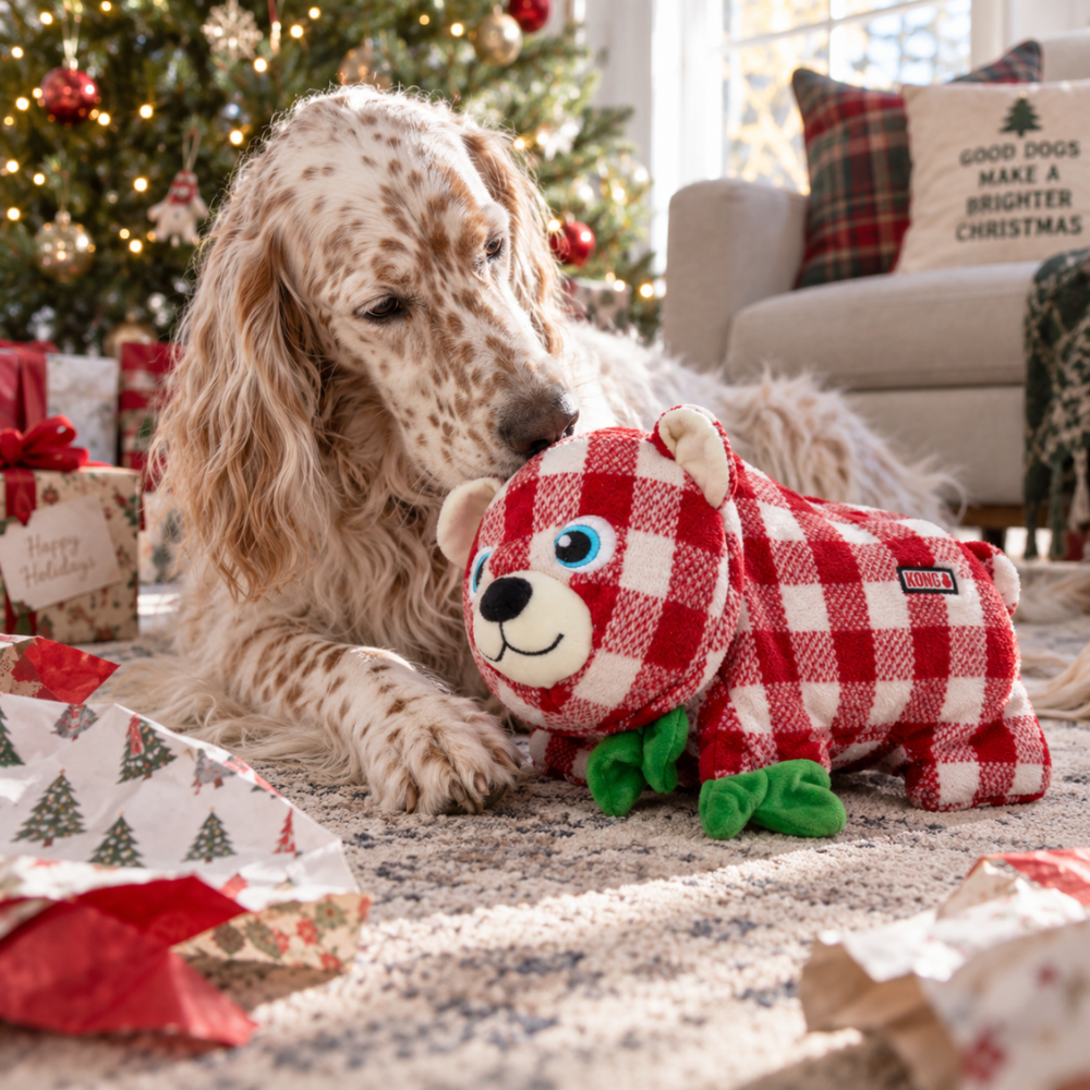KONG Holiday Low Stuff Flanimalz Bear - Large/X-Large
