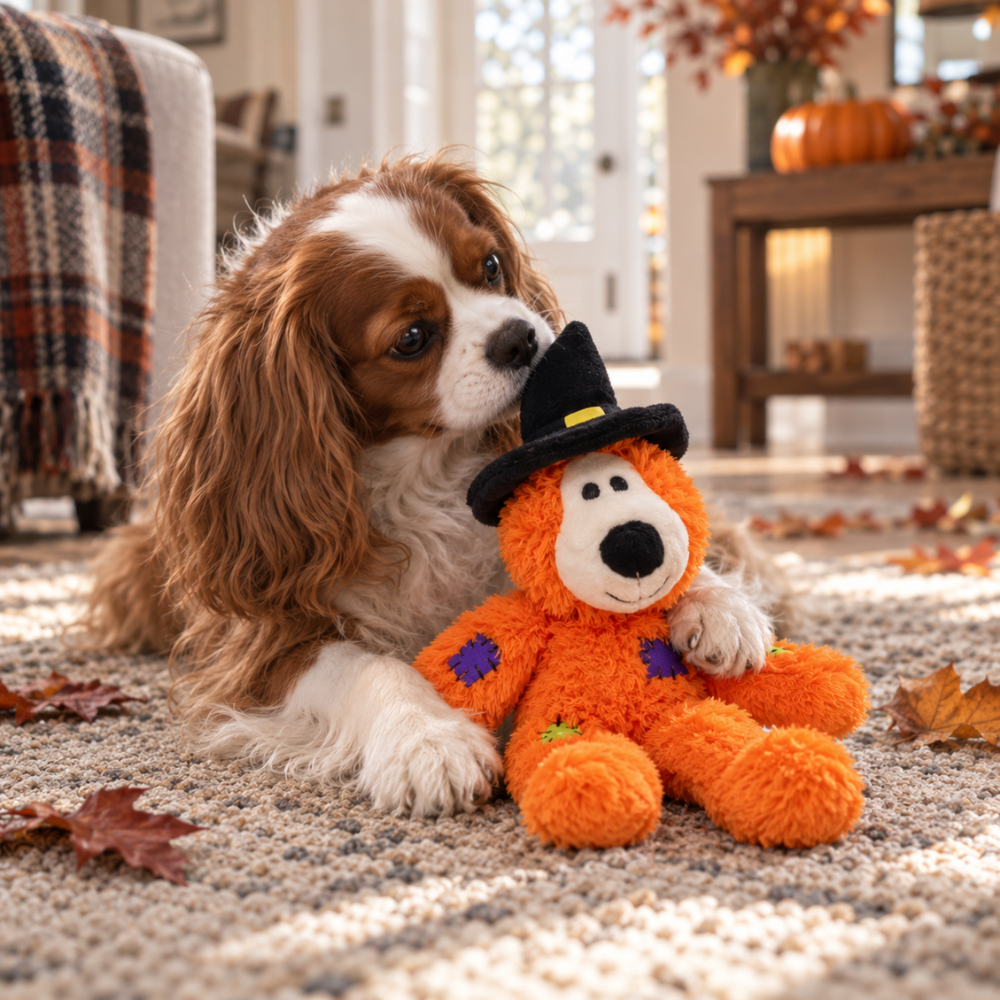 KONG Halloween Knots Bear - Small/Medium