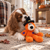 KONG Halloween Knots Bear - Small/Medium