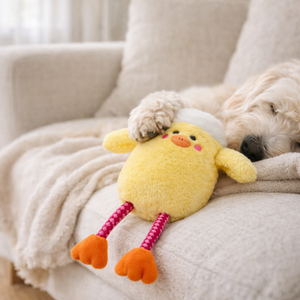 HugSmart Farm Friendz Flappy Chick Plush Dog Toy