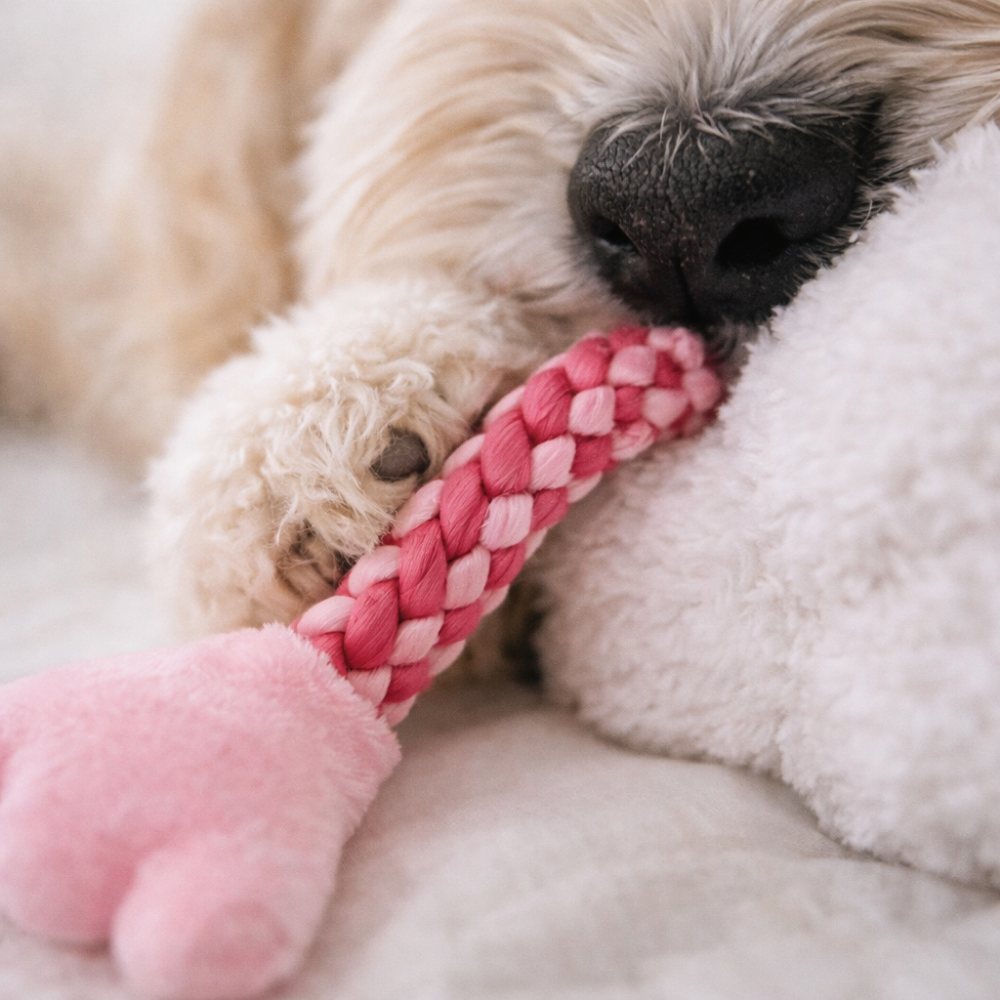 HugSmart Farm Friendz Flappy Swan