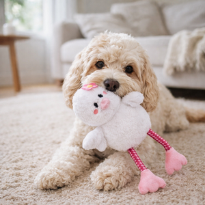 HugSmart Farm Friendz Flappy Swan