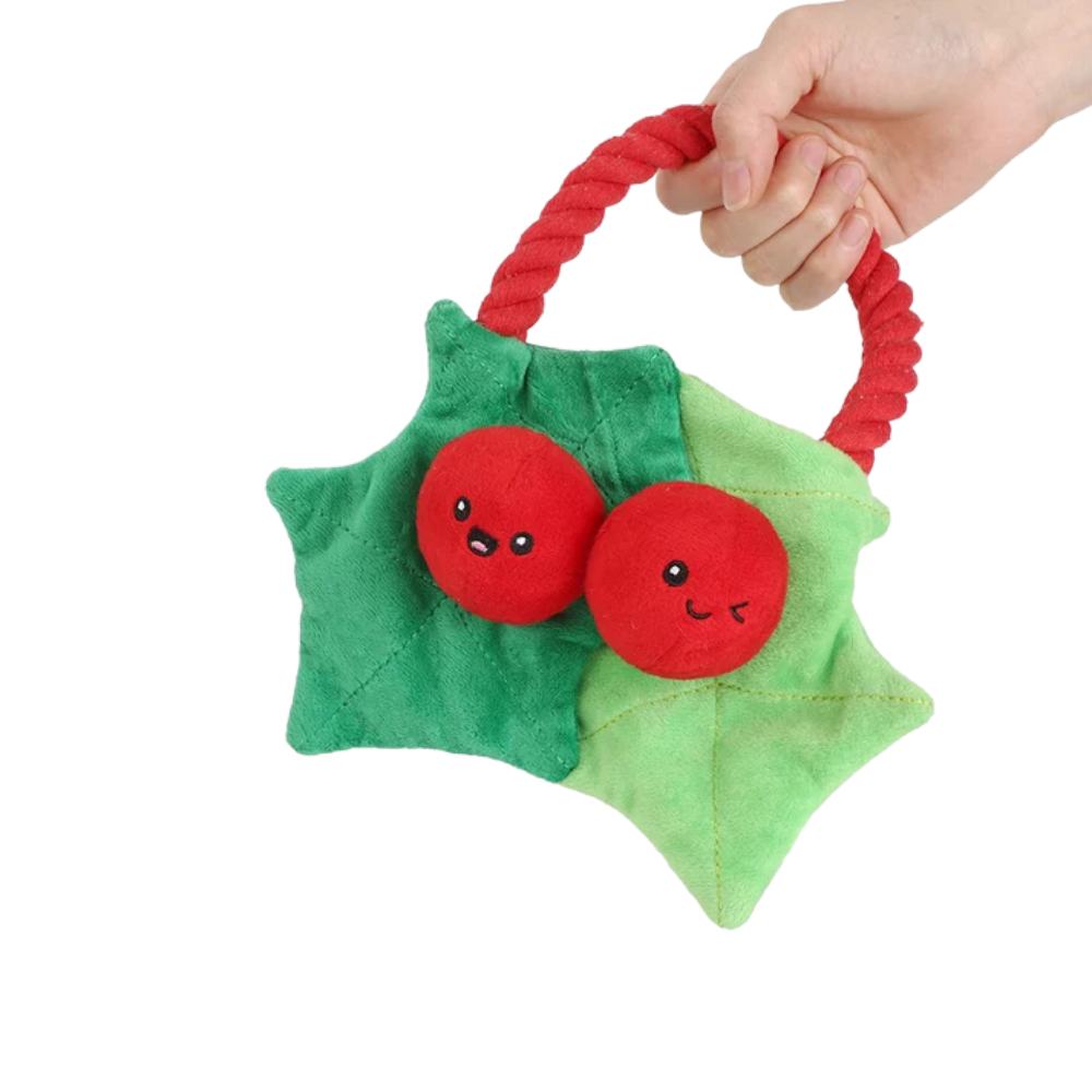 HugSmart Rope Funz Christmas Berry