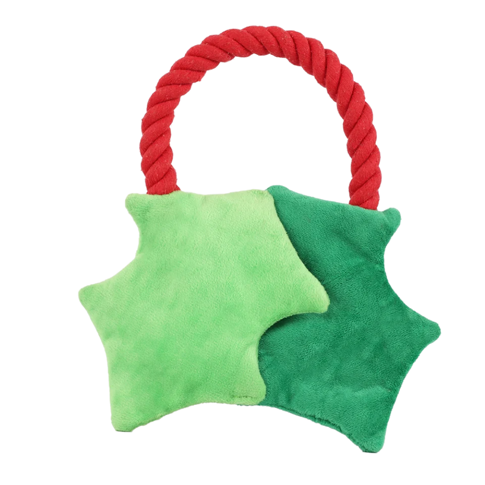 HugSmart Rope Funz Christmas Berry