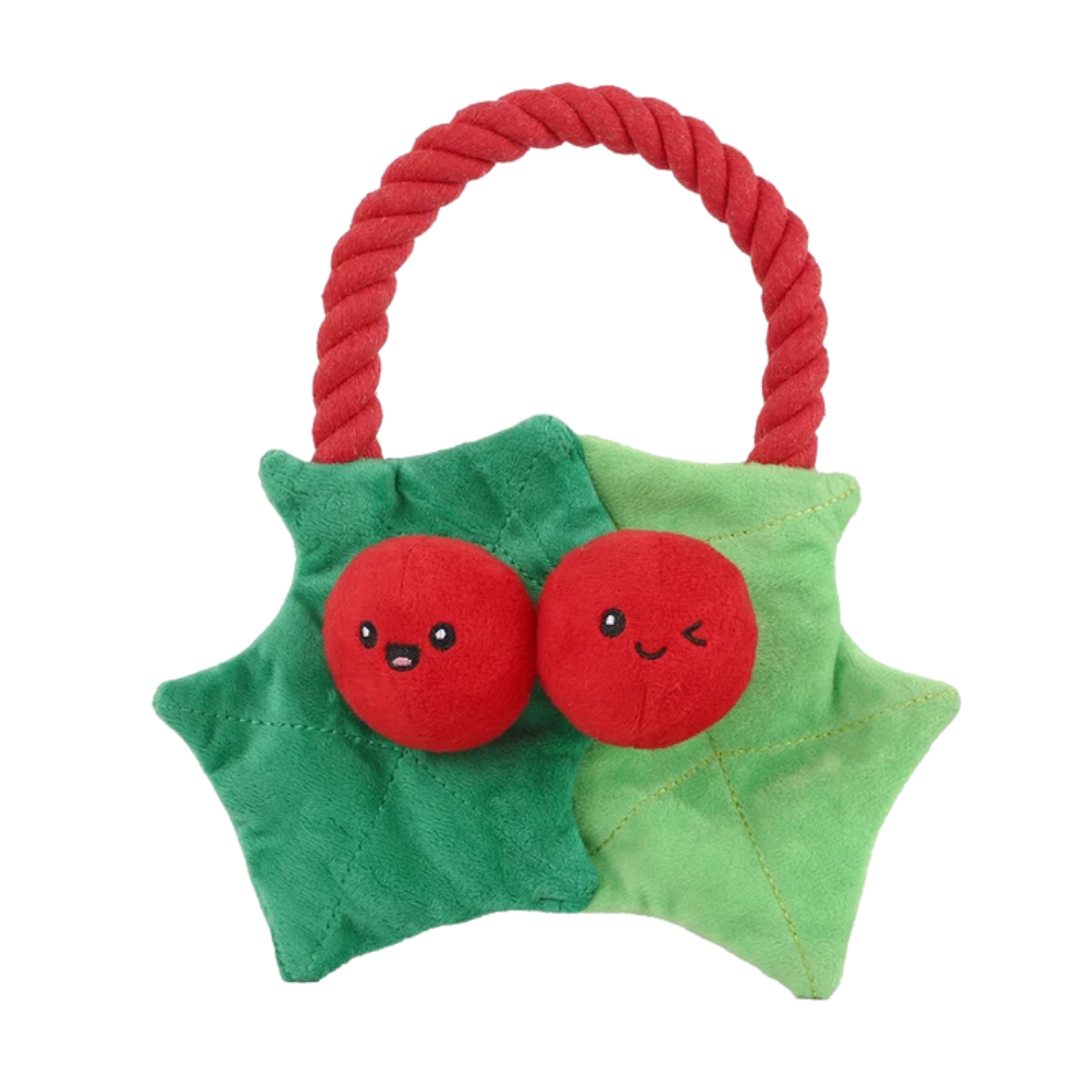 HugSmart Rope Funz Christmas Berry
