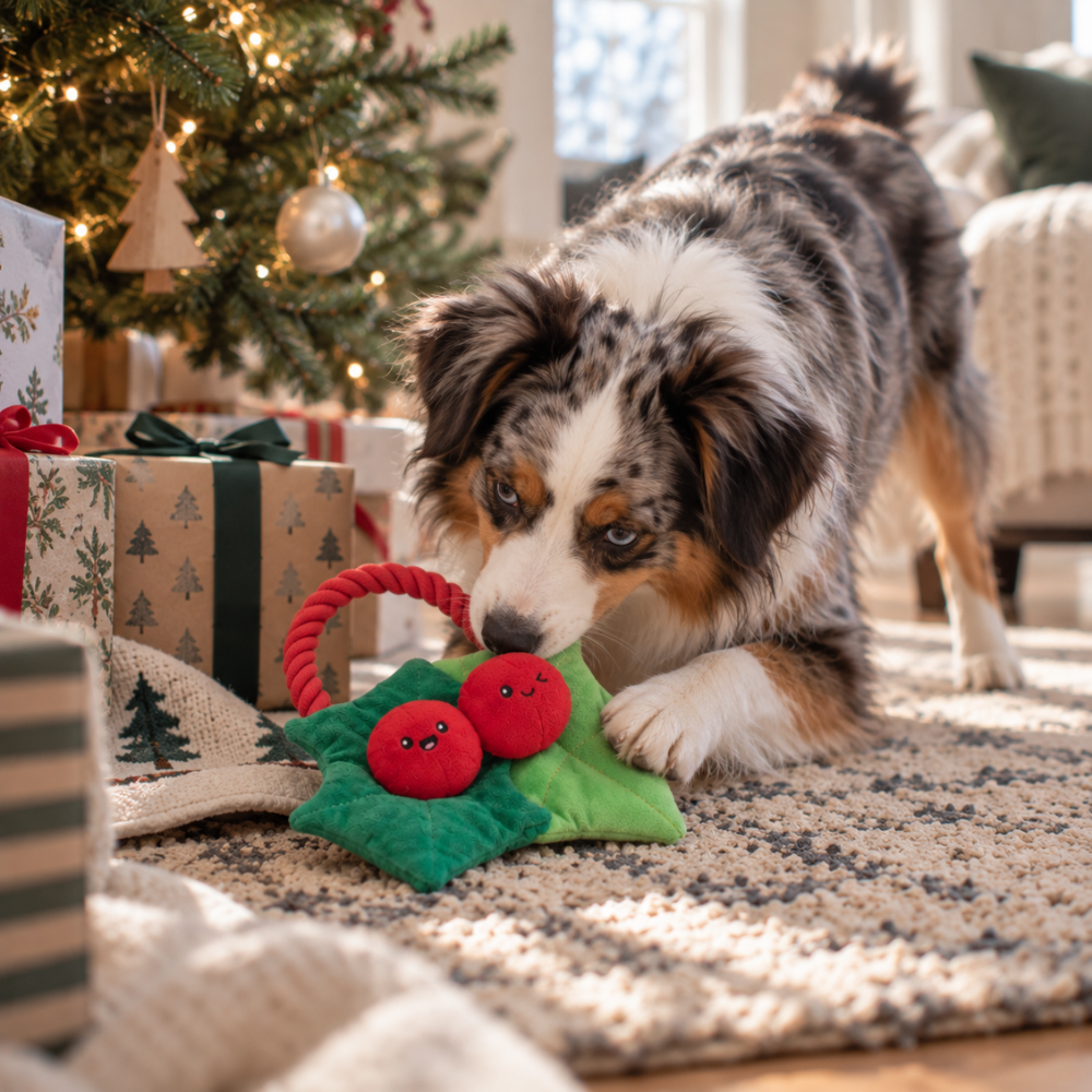 HugSmart Rope Funz Christmas Berry