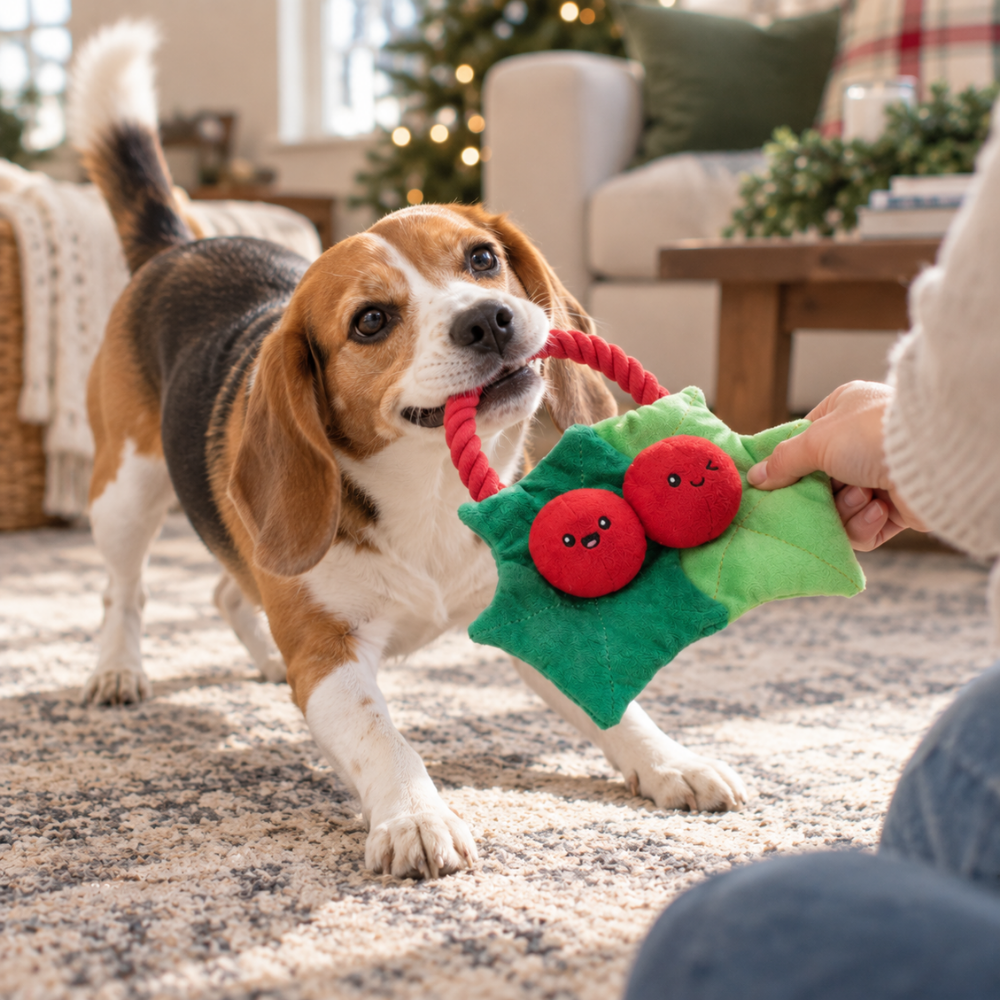 HugSmart Rope Funz Christmas Berry