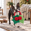HugSmart Rope Funz Christmas Berry