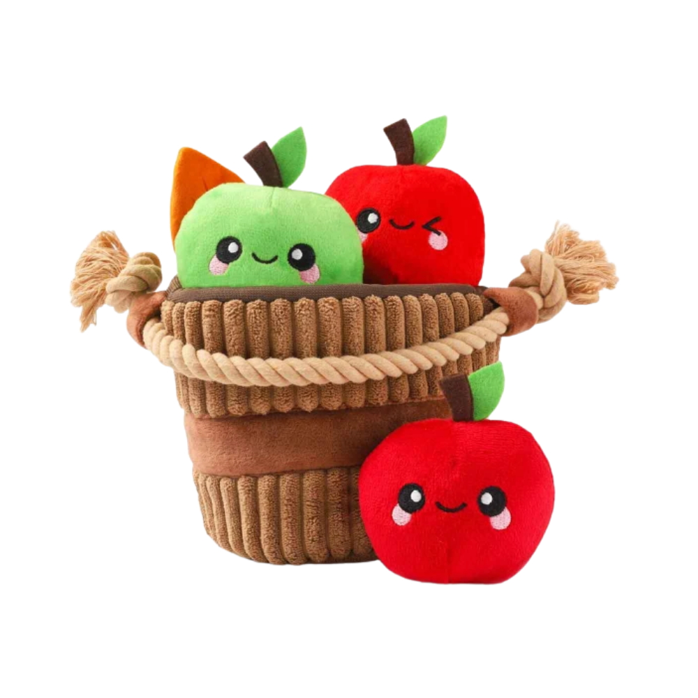 HugSmart Puzzle Hunter Apple Basket