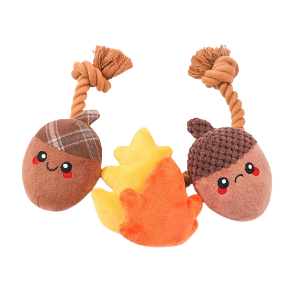 HugSmart Rope Funz Autumn Acorn