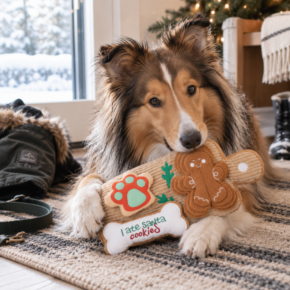 HugSmart Christmas Cookie Board