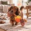 HugSmart Rope Funz Autumn Acorn