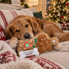 HugSmart Christmas Cookie Board