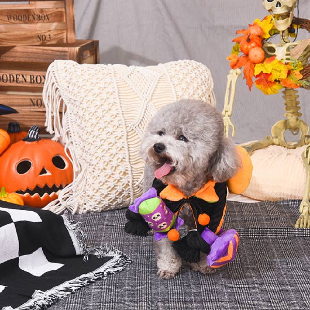 HugSmart Rope Funz Halloween Candy
