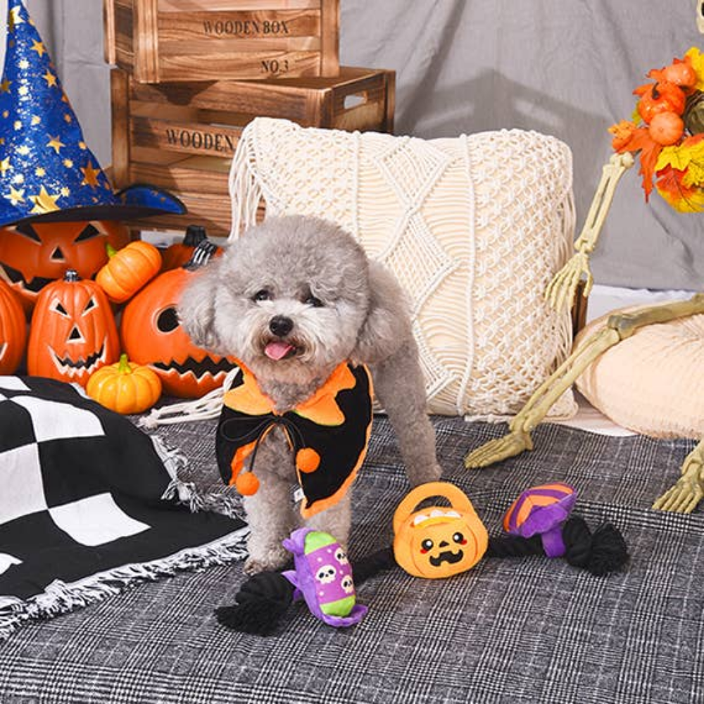 HugSmart Rope Funz Halloween Candy