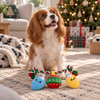 HugSmart Rope Funz Christmas Light