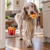 HugSmart Puzzle Hunter Chicken Nuggets