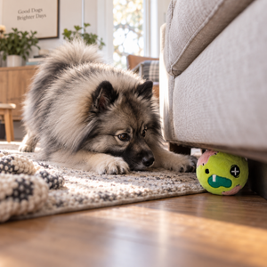 HugSmart Super Ball Zombie