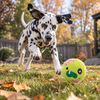 HugSmart Super Ball Zombie