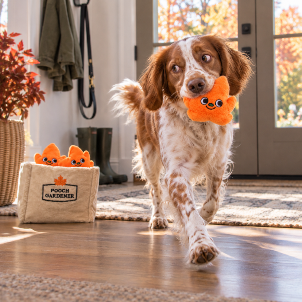HugSmart Puzzle Hunter Leaf Bag