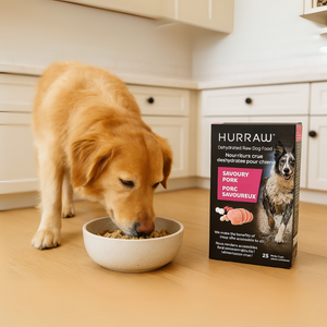 Hurraw Dehydrated Raw Dog Food Savoury Pork - 2.5 kg
