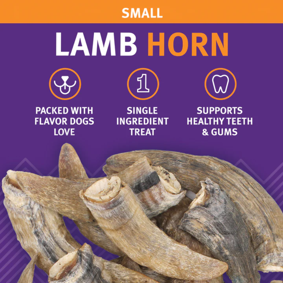 Icelandic+ Lamb Horn - Small