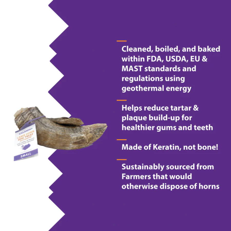Icelandic+ Lamb Horn - Small