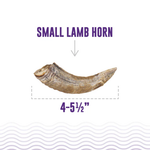 Icelandic+ Lamb Horn - Small