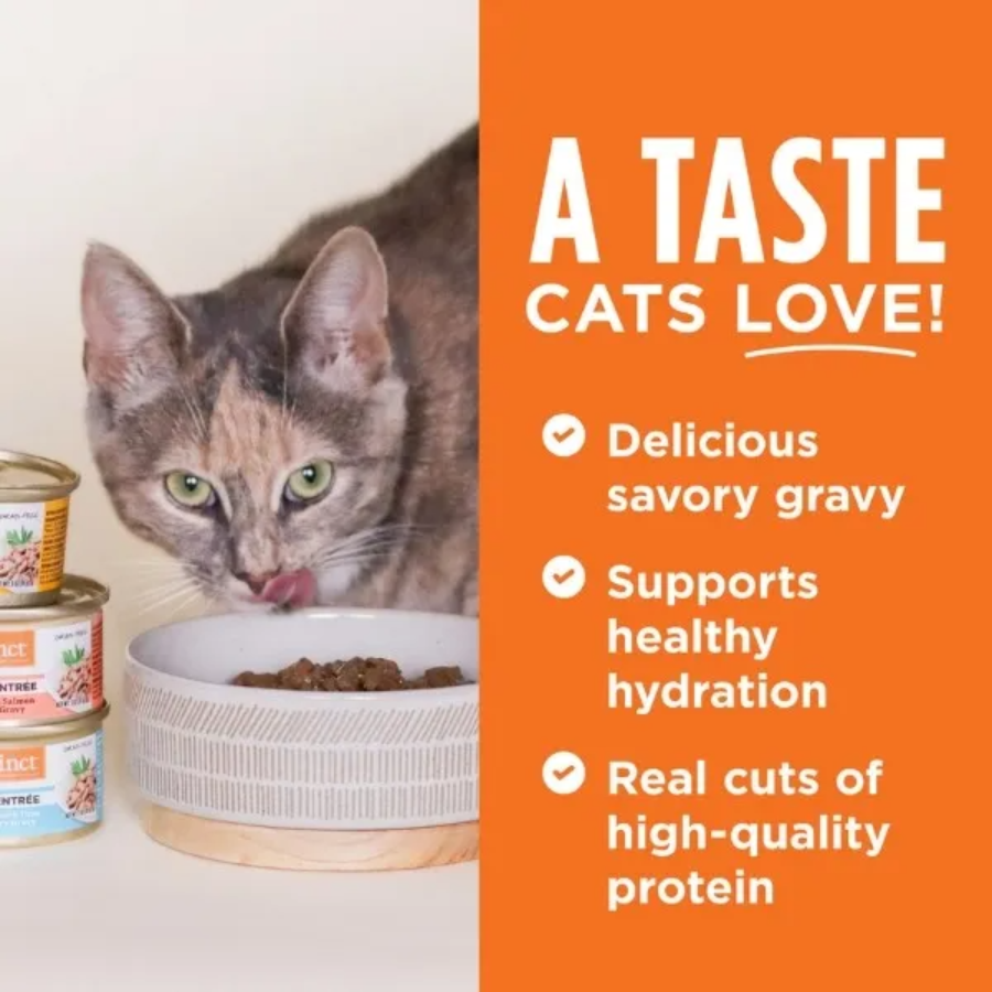 Instinct Flaked Chicken Entrée for Cats - 3 oz