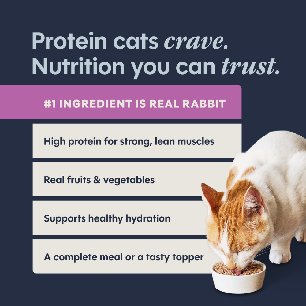 Instinct Original Grain-Free Rabbit Pate for Cats