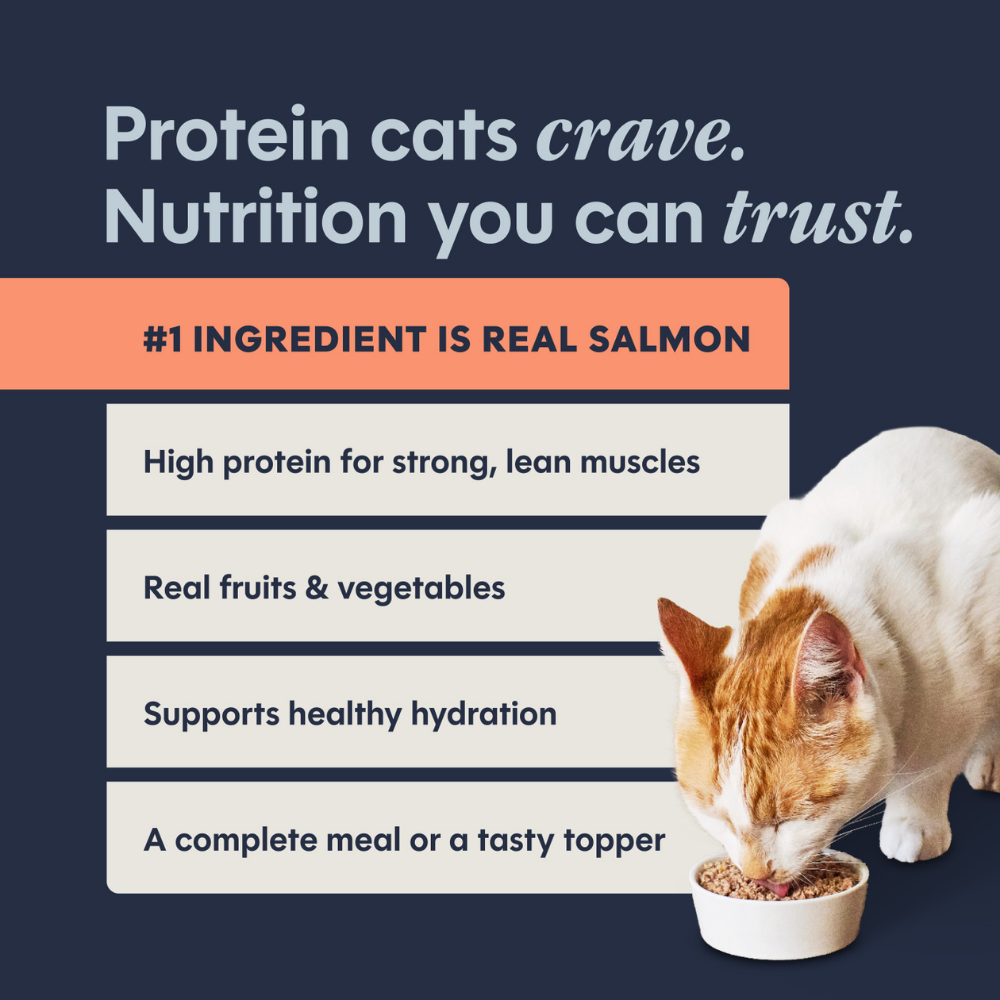 Instinct Original Grain-Free Salmon Pate for Cats