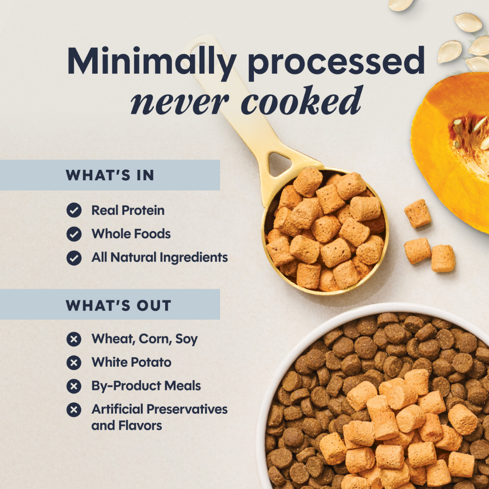 Instinct Raw Boost Mixers Gut Health for Cats