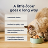 Instinct Raw Boost Mixers Gut Health for Cats