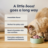 Instinct Raw Boost Mixers Skin and Coat Health for Cats - 5.5 oz