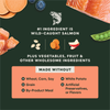 Instinct Raw Boost Grain-Free Salmon - 19 lbs