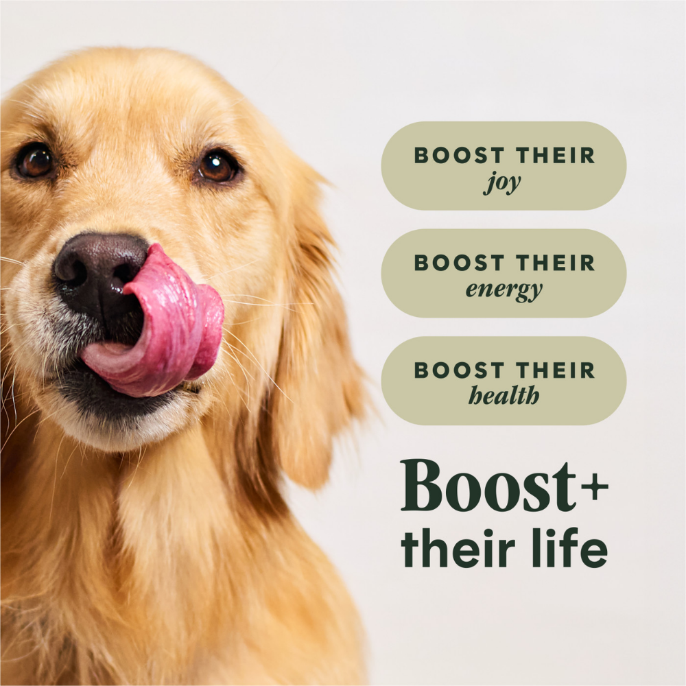 Instinct Raw Boost Mixers Mobility Support for Dogs - 5.5 oz
