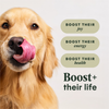 Instinct Raw Boost Mixers Mobility Support for Dogs - 5.5 oz