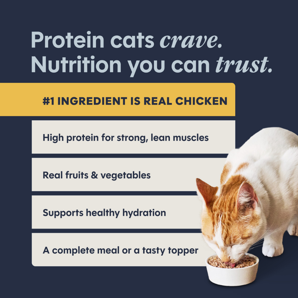 Instinct Original Chicken Pate for Cats