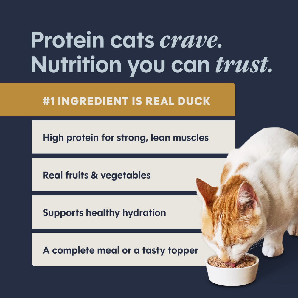 Instinct Original Duck Pate for Cats - 5.5 oz