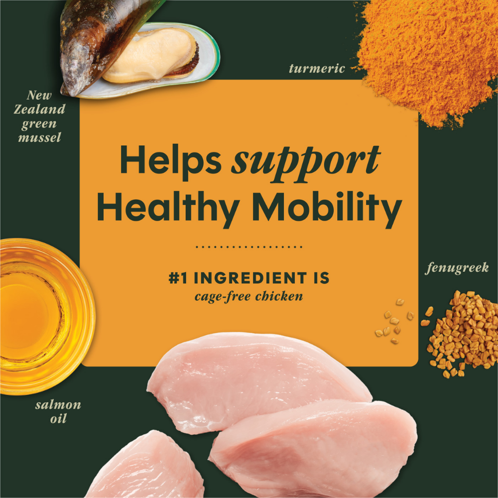 Instinct Raw Boost Mixers Mobility Support for Dogs - 5.5 oz